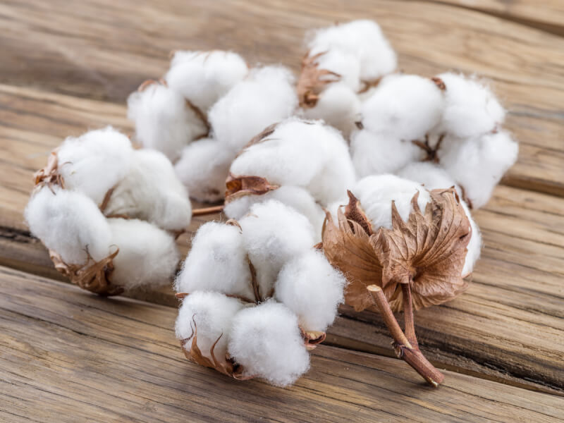 bong cotton